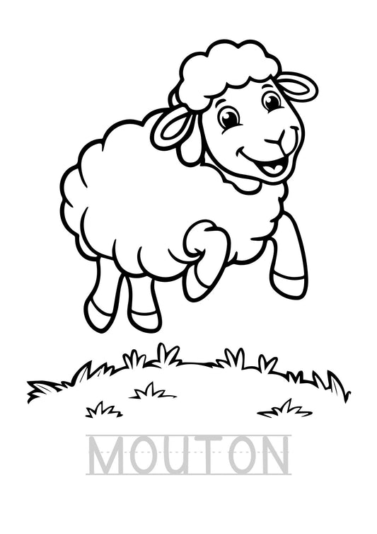 🎨✍️ Livret de Coloriage & Écriture – Format PDF à imprimer